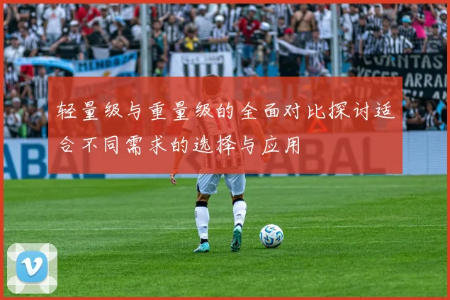 轻量级与重量级的全面对比探讨适合不同需求的选择与应用