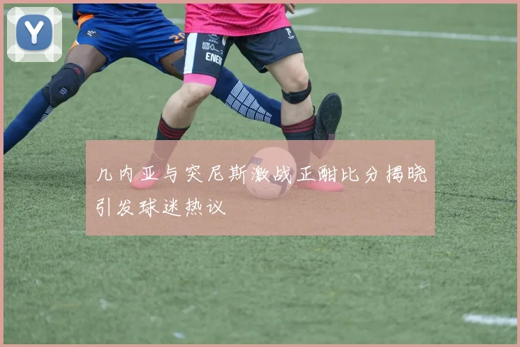 几内亚与突尼斯激战正酣比分揭晓引发球迷热议