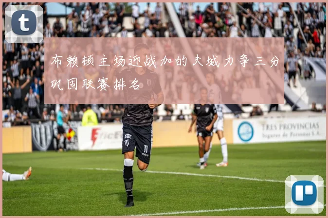 布赖顿主场迎战加的夫城力争三分巩固联赛排名