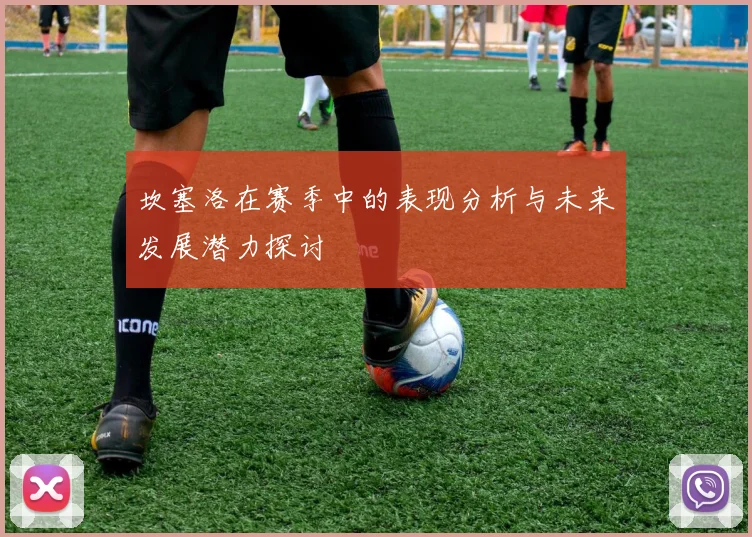 坎塞洛在赛季中的表现分析与未来发展潜力探讨